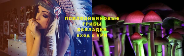 ГАЛЛЮЦИНОГЕННЫЕ ГРИБЫ Беломорск