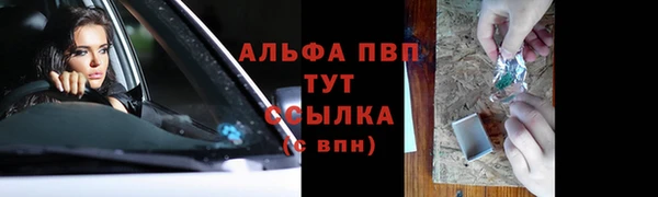 гидра Богородск