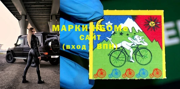 гидра Богородск