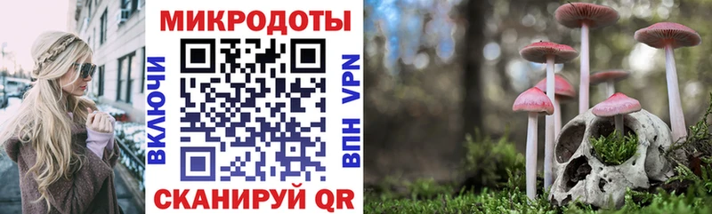 Галлюциногенные грибы Psilocybine cubensis  Шатура 